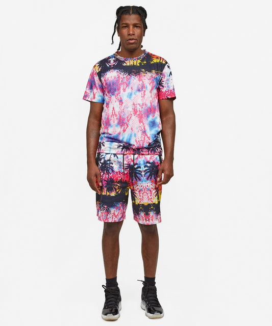 Reason Clothing Hot Sale | Sunset Palm Tee