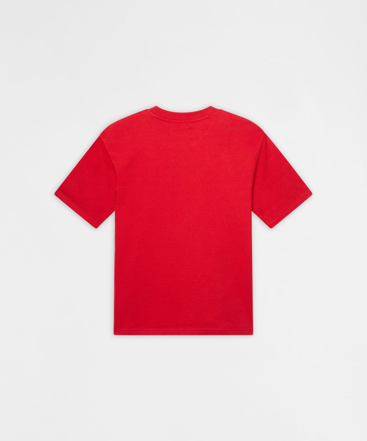 Reason Clothing Everyday | Pablo Mugshot Heavy Terry Short Sleeve Tee - Red