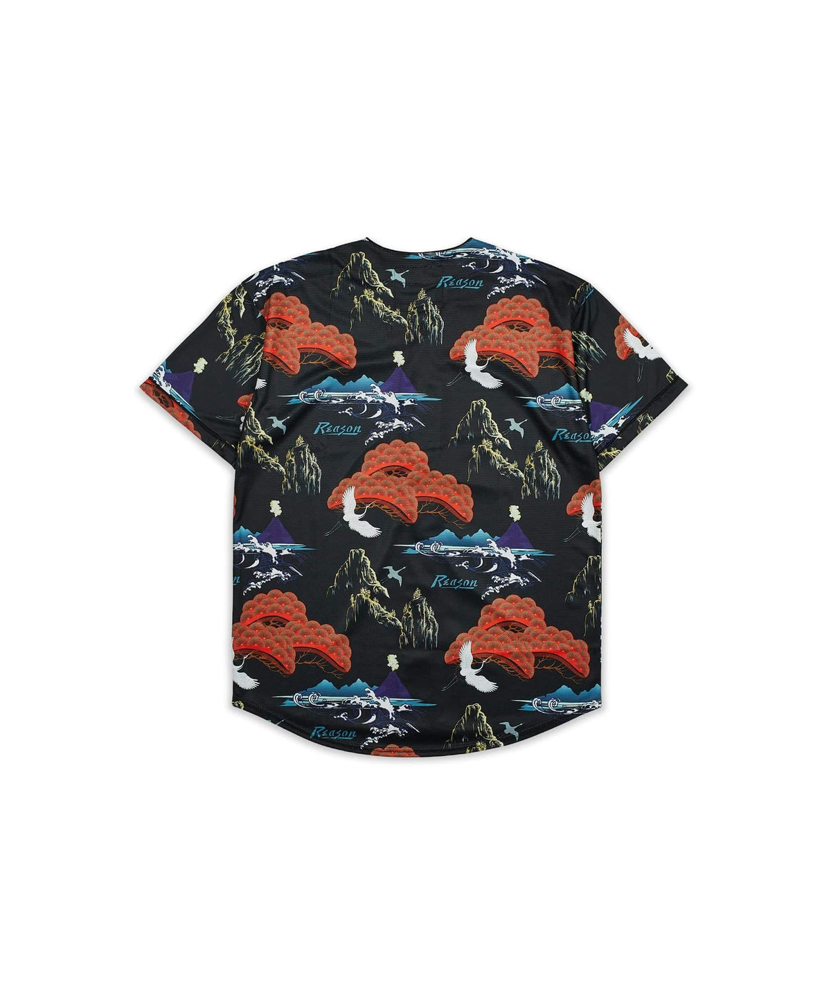 Reason Clothing Quality | Eruption Baseball Jersey